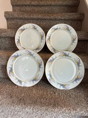Arcadian dinner plates